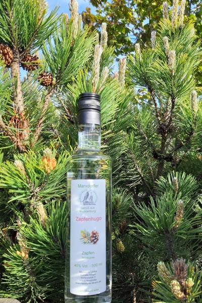 Zapfenhugo 40 % Vol. Zapfen-Spirituose