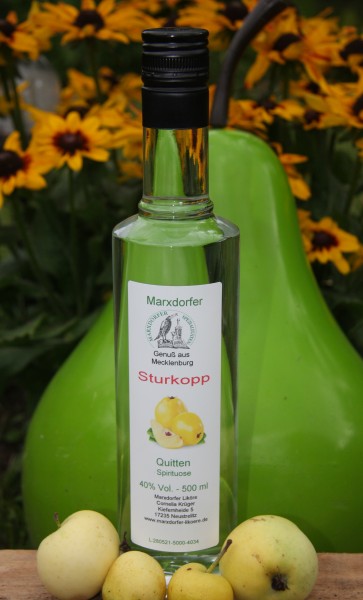 Sturkopp40%Vol Quitten-Spirituose