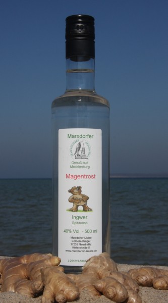 Magentrost 40 % Vol. Ingwer-Spirituose
