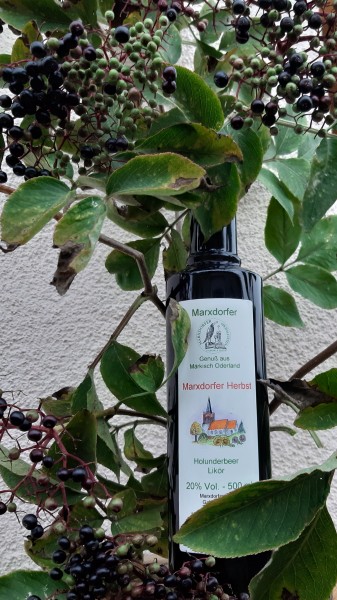 Marxd-Herbst 20% Holunderlikör